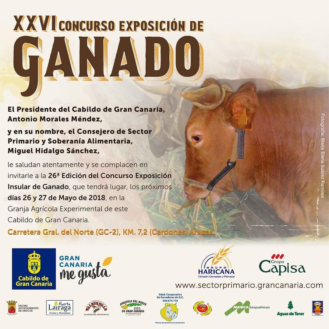 XXVI Concurso-Exposición de Ganado – Cabildo de Gran Canaria